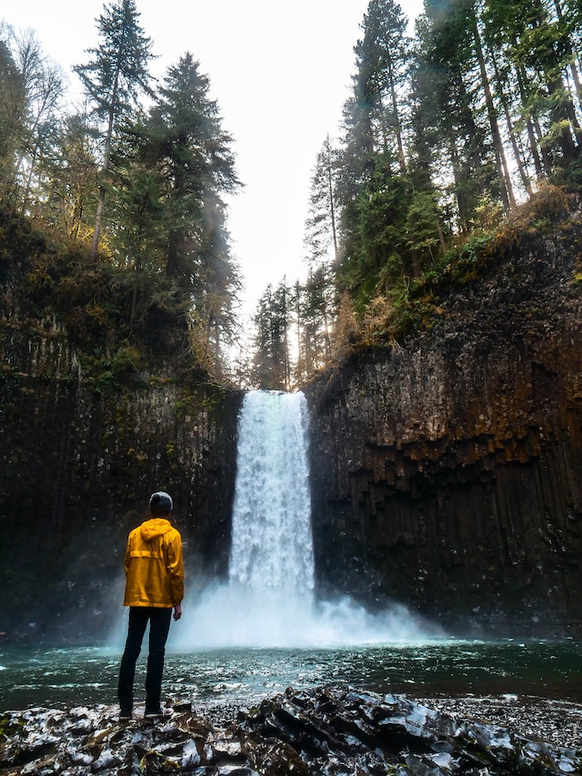 Picture of person looking at a waterfall, photo by David Kovalenko, via Unsplash